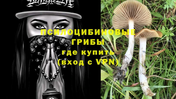 шишки Алексеевка