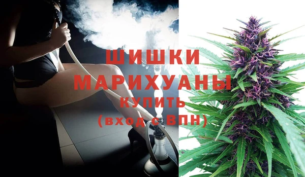шишки Алексеевка
