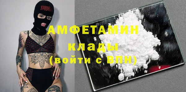 шишки Алексеевка